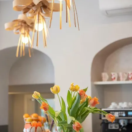 酒店 金鱼酒店 韦尔巴尼亚